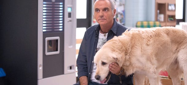 Tutti insieme all'improvviso: Giorgio Panariello è un veterinario... nei guai