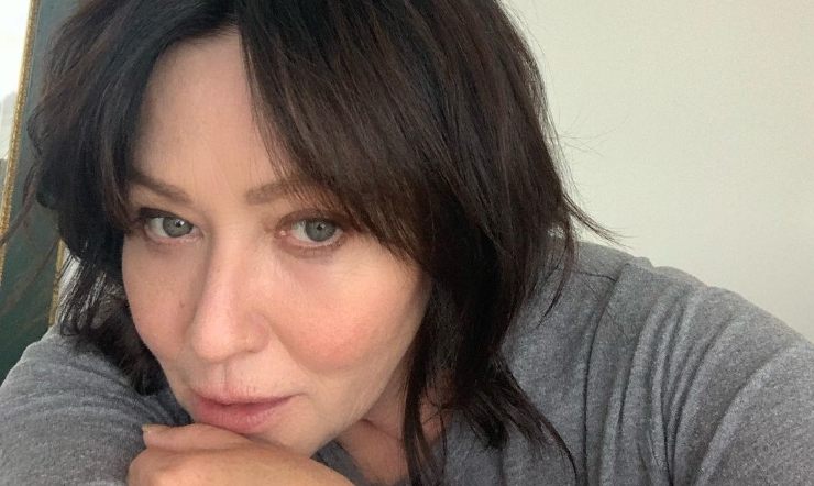 Shannen Doherty divorzio